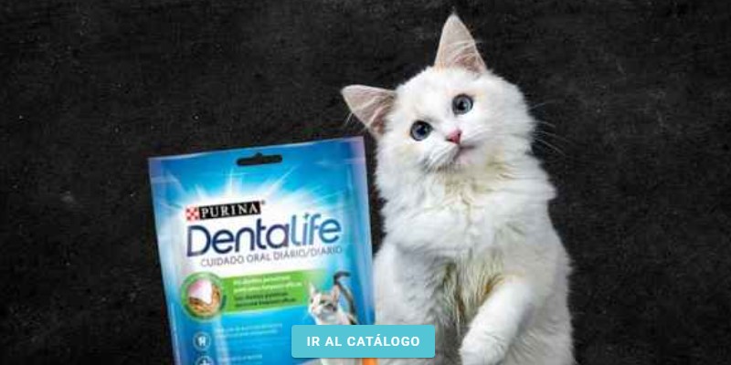 Mascotas Somma